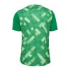 Camiseta de fútbol Portero Dinamarca Euro 2024 Verde - Hombre